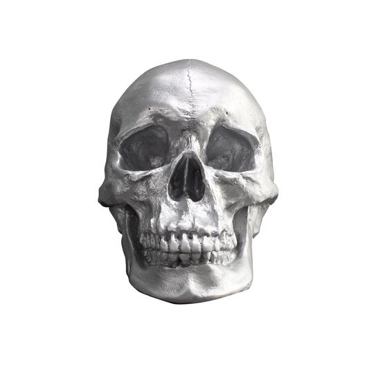 The Darwin Human Skull